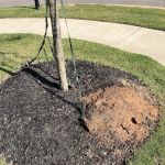 Kind Pest Control