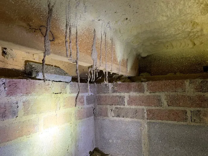 AAA Exterminating Picture 8