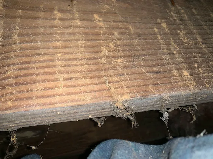 AAA Exterminating Picture 1