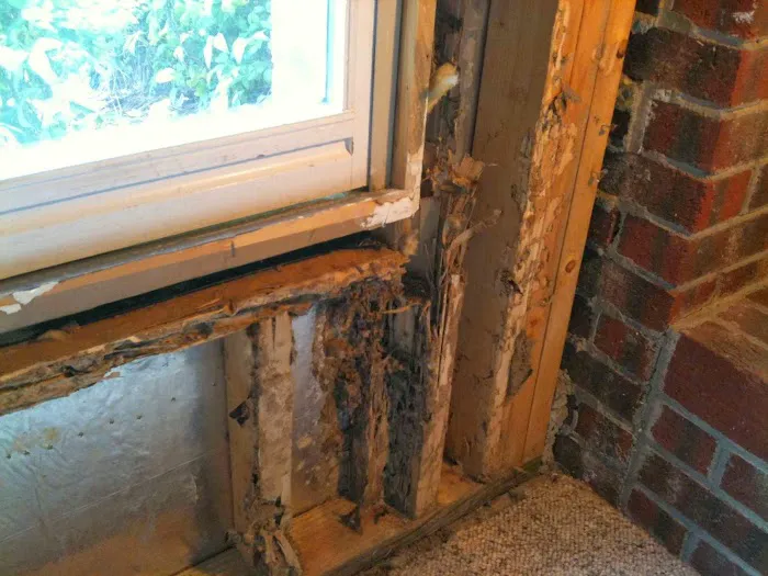 AAA Exterminating Picture 3