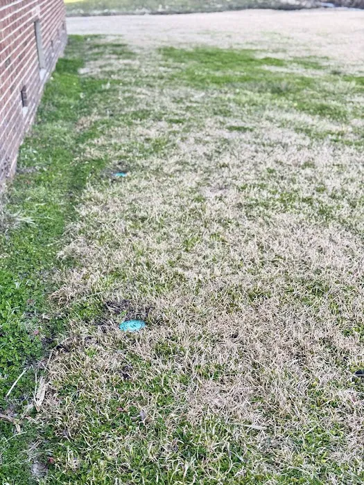 Rocket Pest Control Picture 1