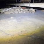 CS Conditioners (Moisture & Termite Control)