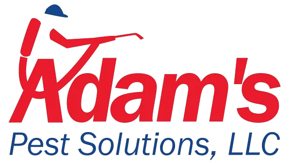 Adam's Pest Solutions LLC Picture 2