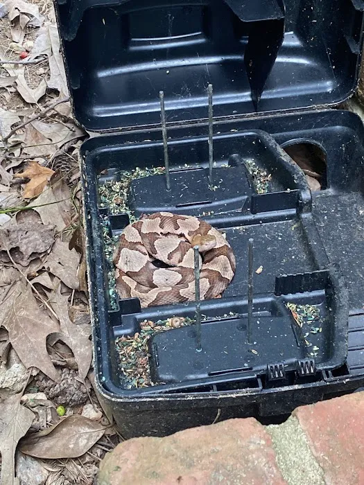Massey Services Pest Control Picture 3