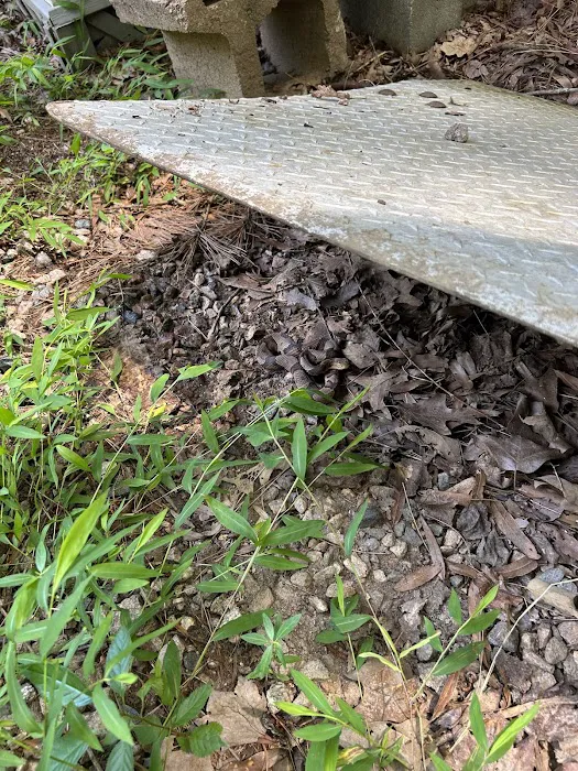 Kind Pest Control Picture 5