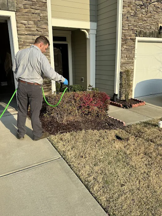 Kind Pest Control Picture 7