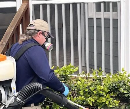 Economy Exterminators
