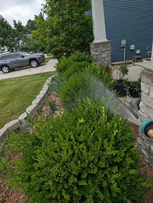Solve Pest Pros Picture 9
