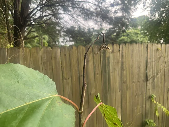 Solve Pest Pros Picture 10