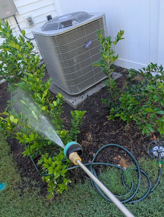 Solve Pest Pros Picture 4
