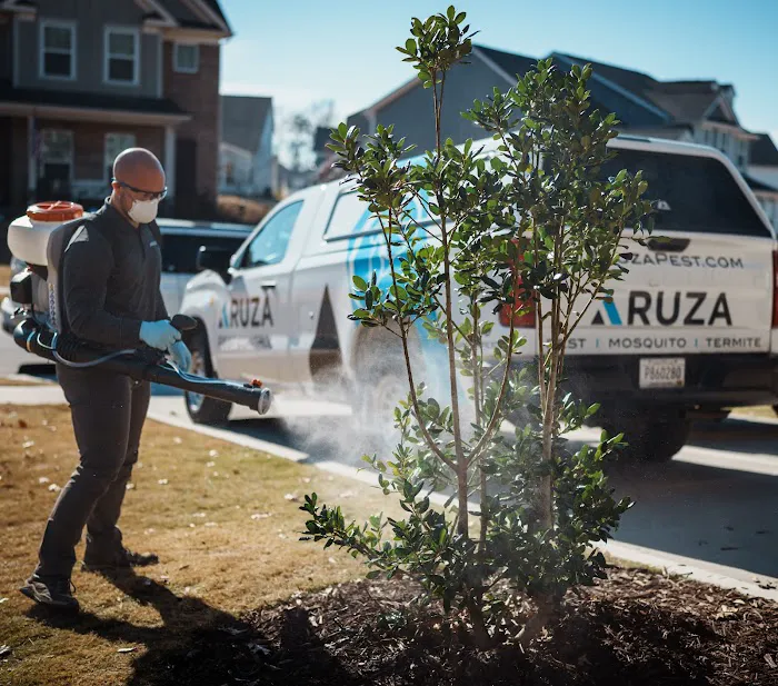 Aruza Pest Control Picture 8