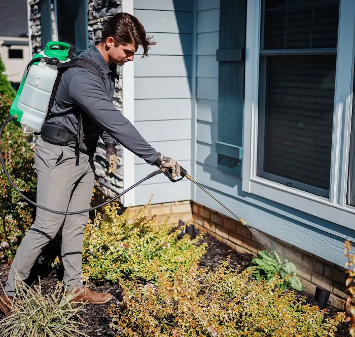 Aruza Pest Control Picture 7