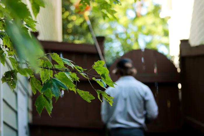 Triangle Pest Control Picture 7