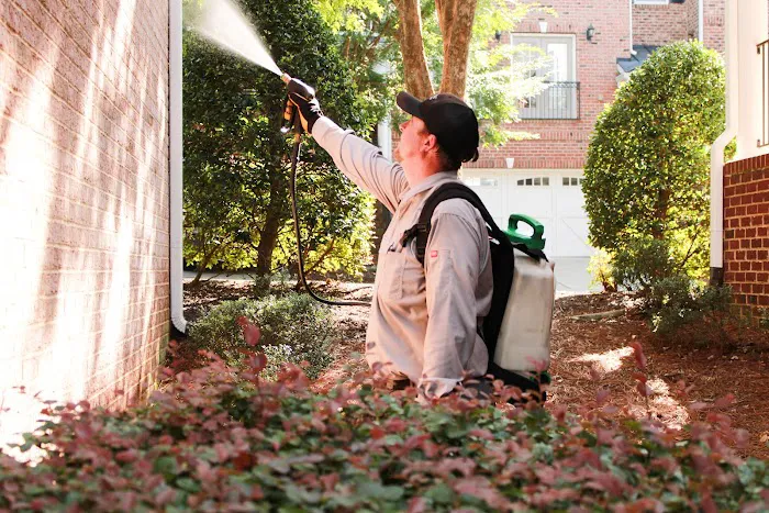Triangle Pest Control Picture 3
