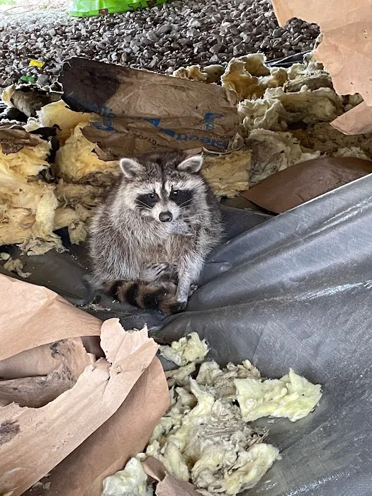 Trutech Wildlife Service Picture 10