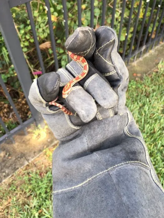 Trutech Wildlife Service Picture 9