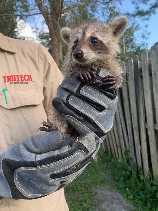 Trutech Wildlife Service Picture 6