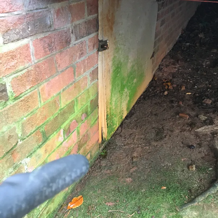 Riddem Pest Control Picture 4