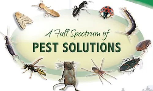Terminator Pest Mangement Services, LLC Picture 2