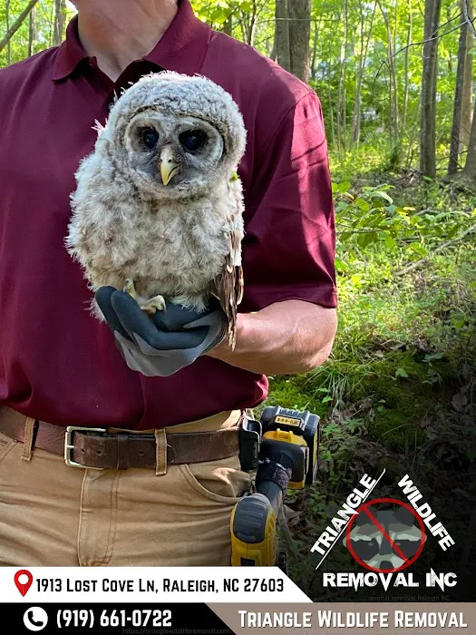 Triangle Wildlife Removal & Pest Control, Inc. Picture 3