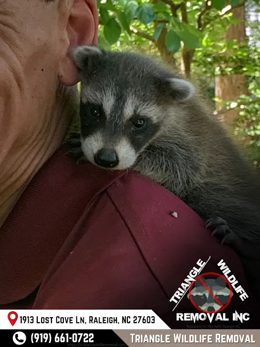 Triangle Wildlife Removal & Pest Control, Inc. Picture 2