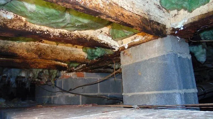 D & D Pest Control & Home Inspection Services Picture 6