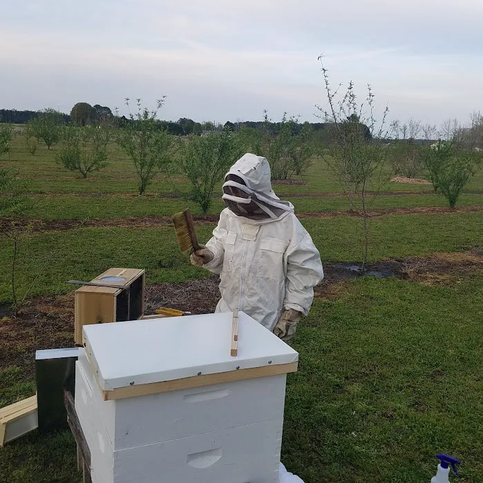 D & D Pest Control & Home Inspection Services Picture 4