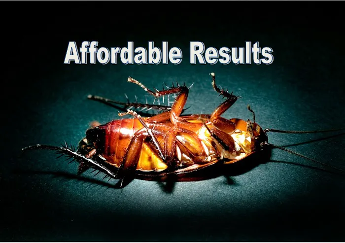 D & D Pest Control & Home Inspection Services Picture 8