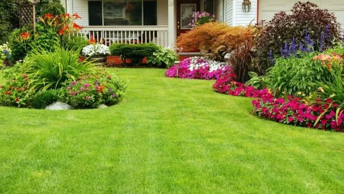 Carlyle Outdoor Services Picture 6
