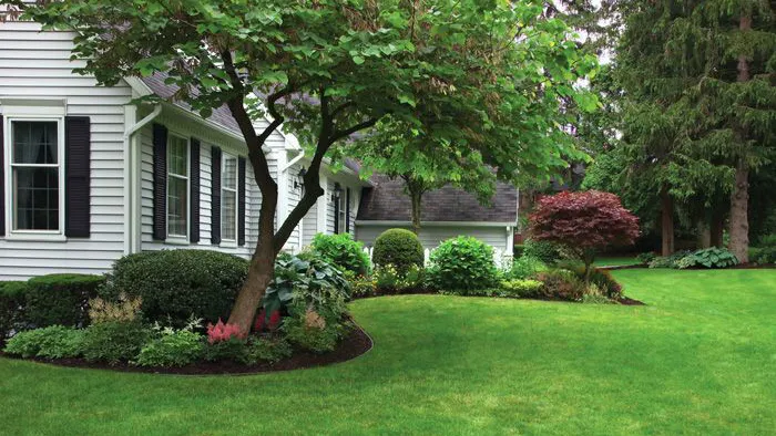 Carlyle Outdoor Services Picture 9