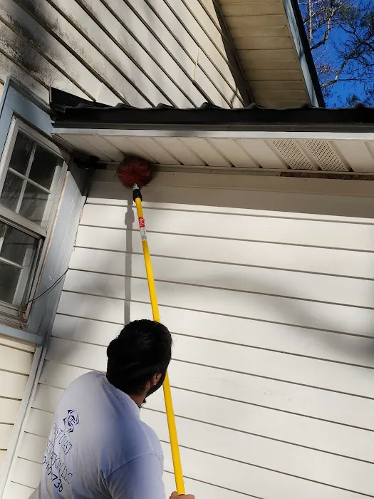 East Coast Pest Solution Picture 3