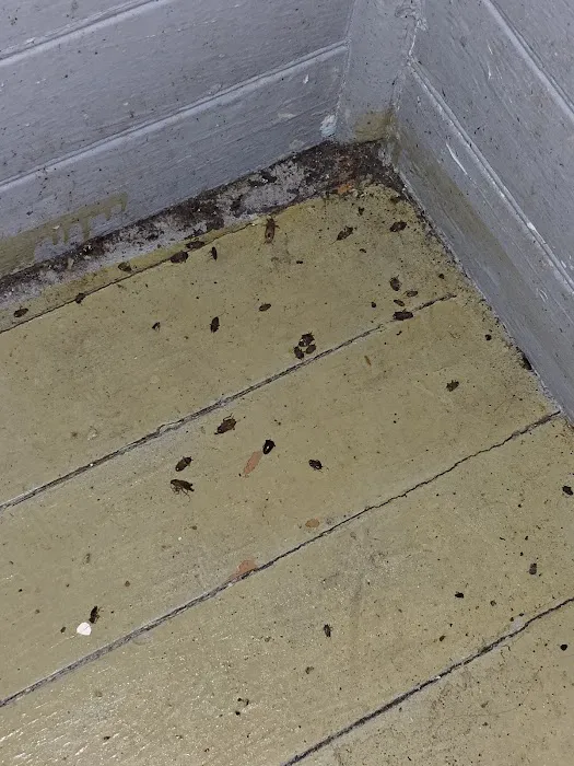East Coast Pest Solution Picture 2