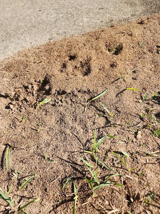 East Coast Pest Solution Picture 5