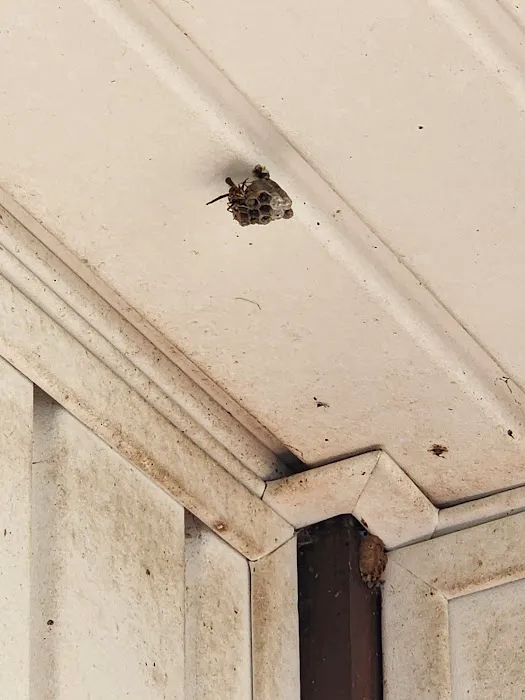 East Coast Pest Solution Picture 7