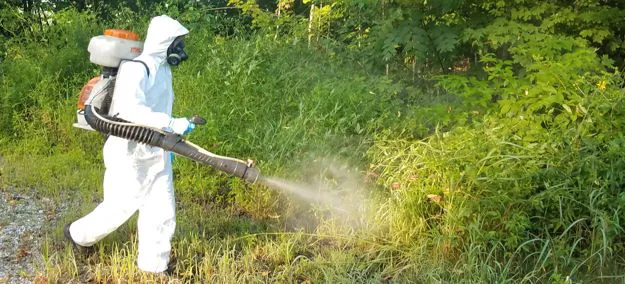Buckeye Exterminating Picture 4