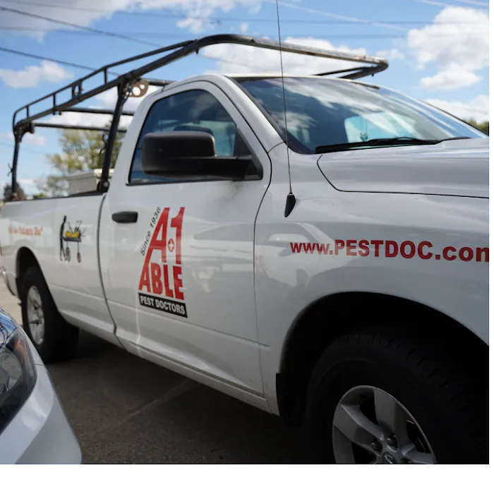 A-1 Able Pest Doctors Picture 10