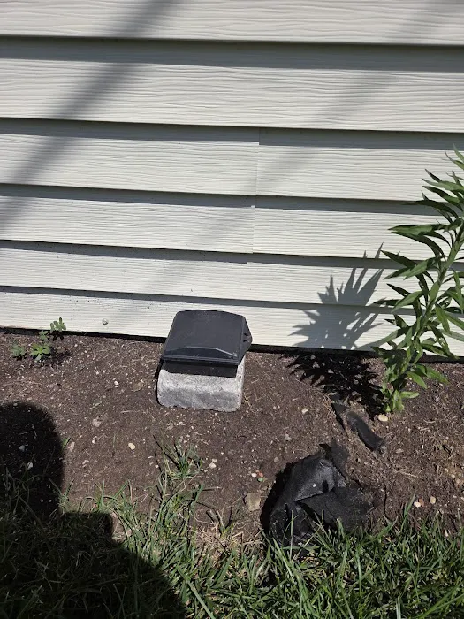 America's Wildlife & Pest Control Picture 6