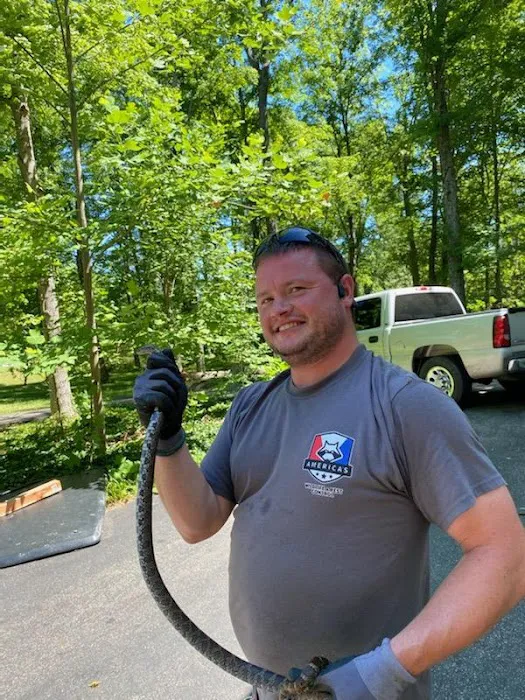 America's Wildlife & Pest Control Picture 1