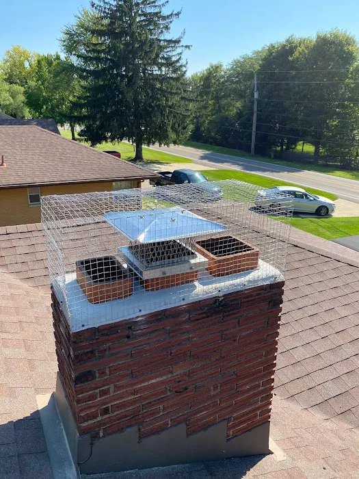 America's Wildlife & Pest Control Picture 5