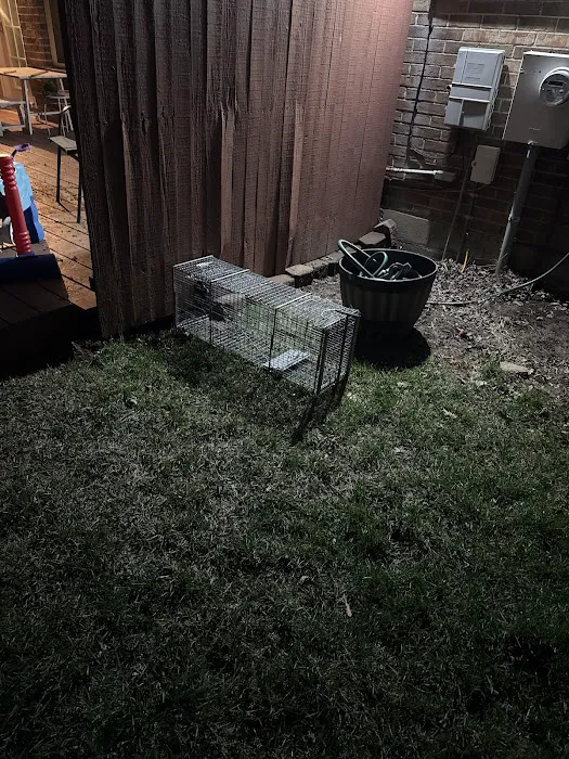 America's Wildlife & Pest Control Picture 9