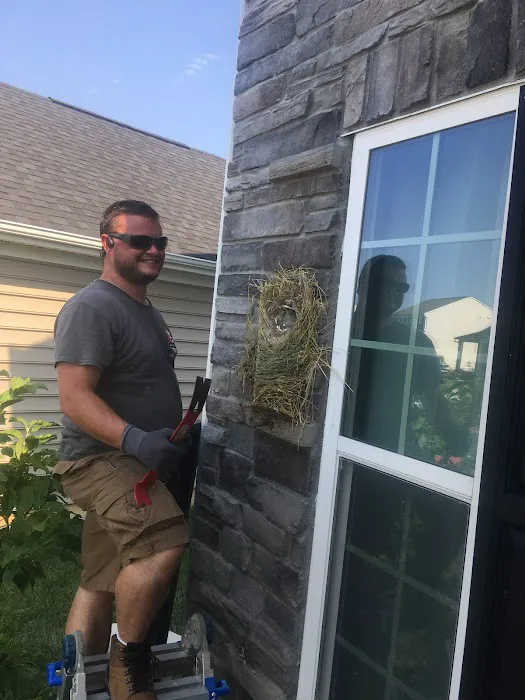 America's Wildlife & Pest Control Picture 2