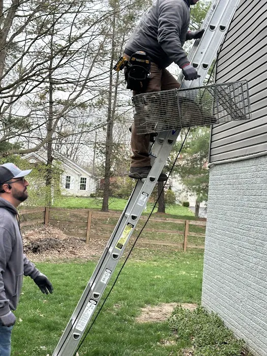 America's Wildlife & Pest Control Picture 8