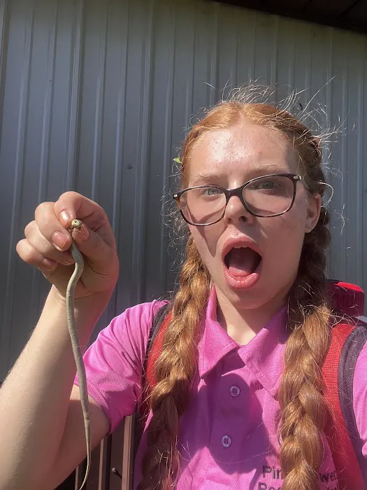 Pink Power Pest Control Picture 7