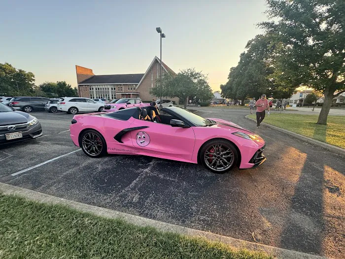 Pink Power Pest Control Picture 3
