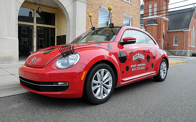 Bug A Boo Inc. Picture 1