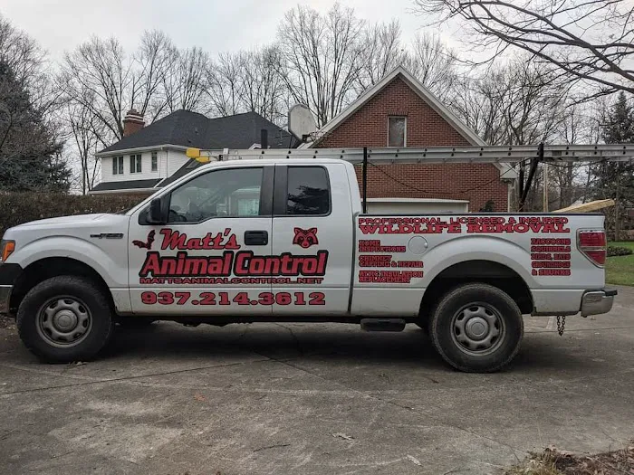 Matts Animal Control LLC Picture 8