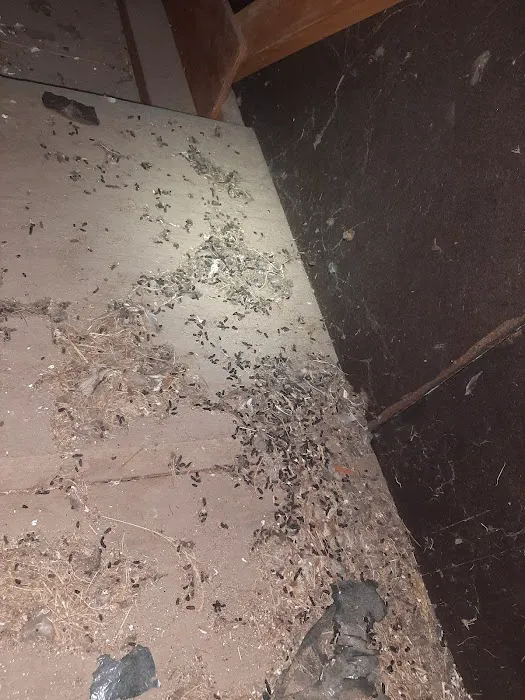 Matts Animal Control LLC Picture 1