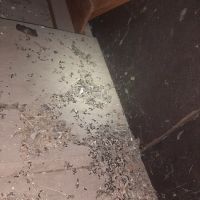 Matts Animal Control LLC ico