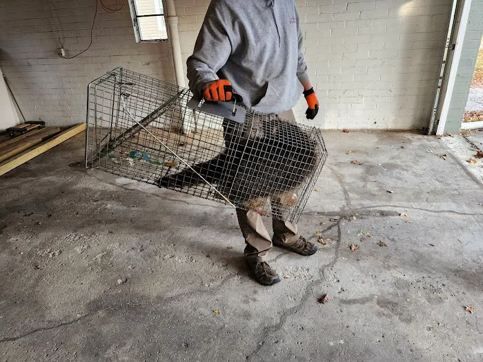 Matts Animal Control LLC Picture 9