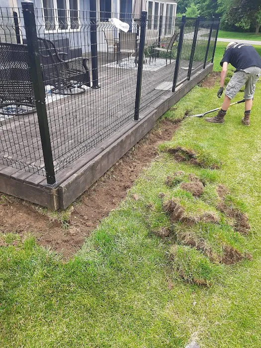 Matts Animal Control LLC Picture 5